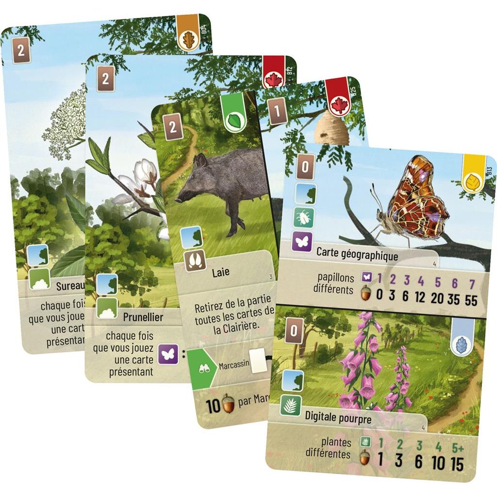 carte extension foret mixte lisiere de foret