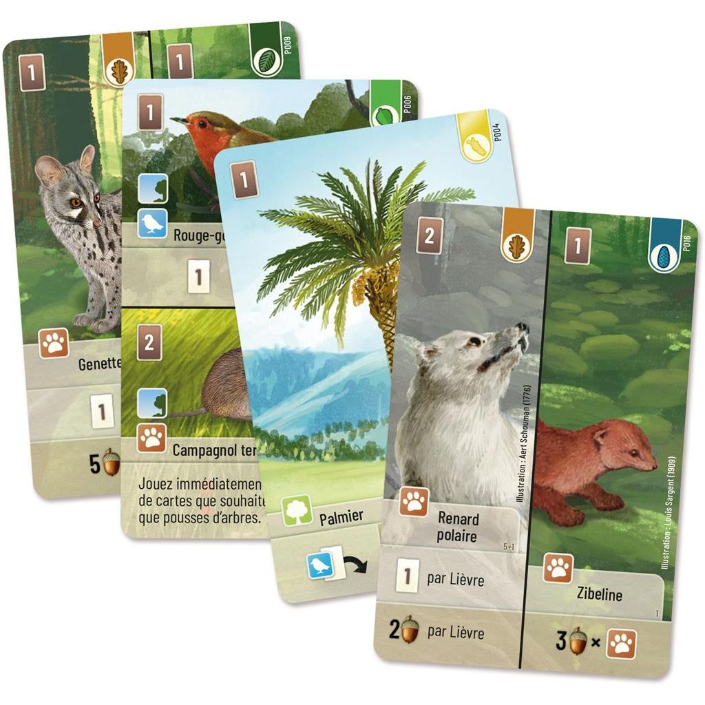 foret mixte exploration cartes