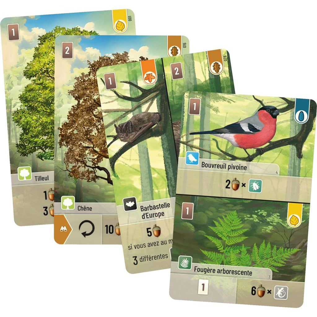 cartes de jeu foret mixte