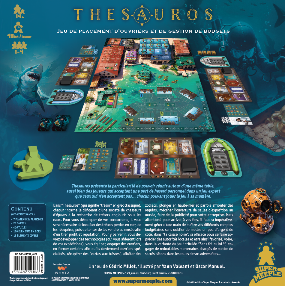 thesauros jeu expert