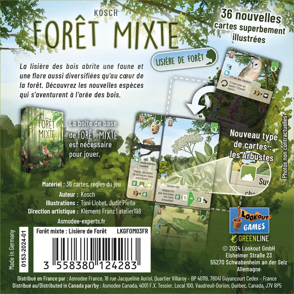 foret mixte lisièere de foret