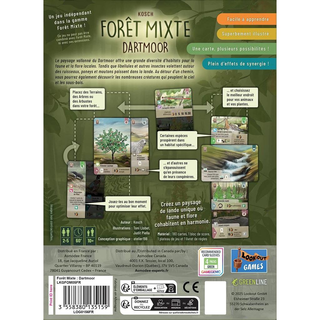 foret mixte dartmoor