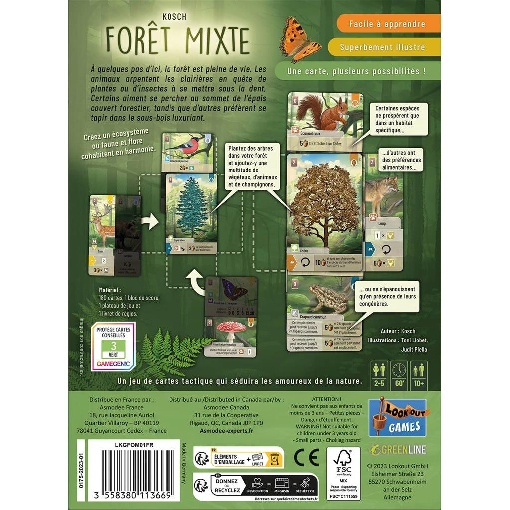 boite foret mixte