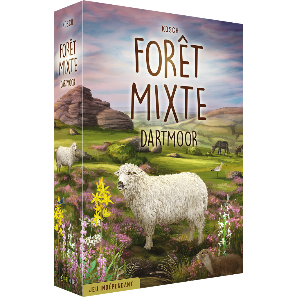 jeu de société foret mixte dartmoor