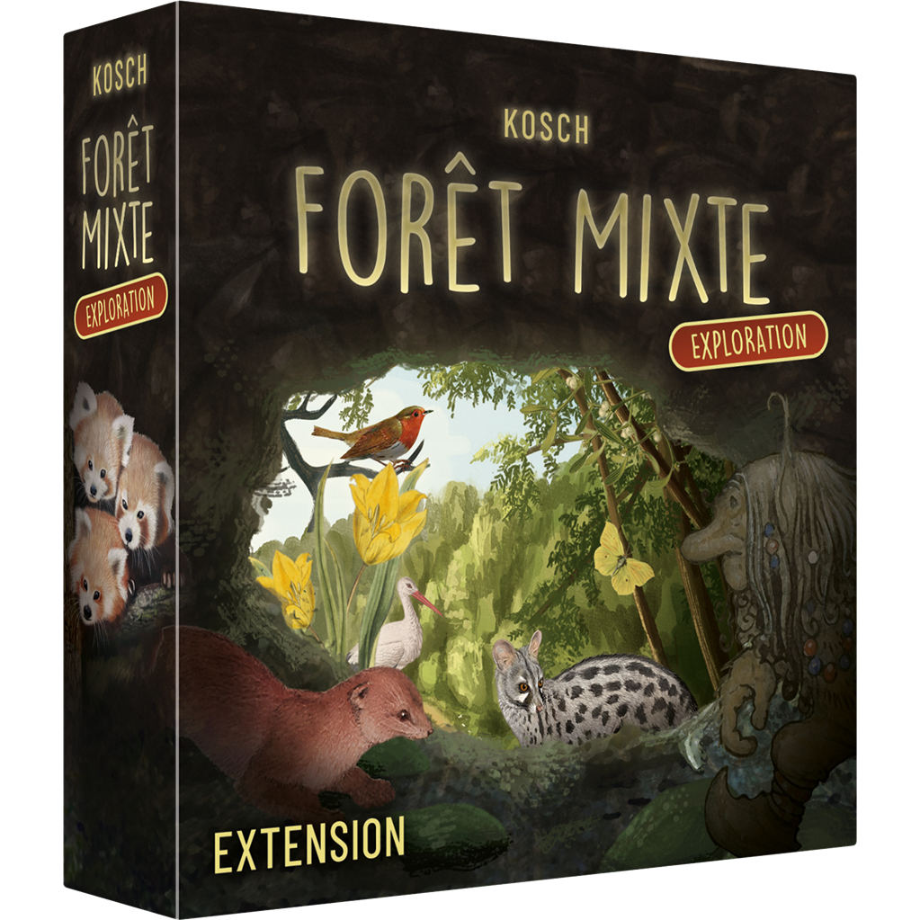 boite forêt mixte exploration