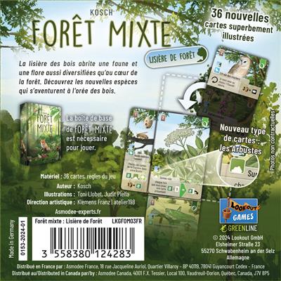 Forêt Mixte : Lisière de Forêt (Ext)